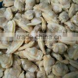 Frozen New Boiled Local Special Seafood Yellow Clam Meat From Liaoning Province thumbnail-3