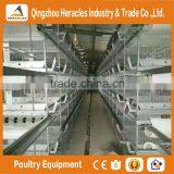 Heracles Best Design Durable Automatic H Type Battery Layer Chicken Cage thumbnail-1