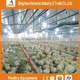 China Low Price Hot Sale Automatic Equipment Chicken Shed Poultry Farm thumbnail-3