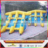 High Quality Inflatable Flying Fish as Funny Water Toys