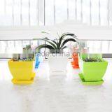 Square Plastic Light Color Flower Pot thumbnail-2