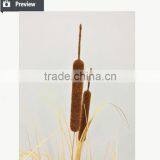 Dongugan Factory Direct Sale Artificial Grass Onion Grass With Cattails in Pot Synthetic Potted Grass Pots Plant thumbnail-5
