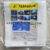 Pe Canvas thumbnail-4