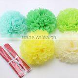 Best Fashion Colour Tissue Pom Poms for Parties thumbnail-2