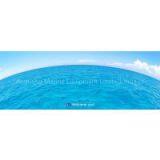 Aoguang Marine Equipment Limited company overview - view 1 thumbnail