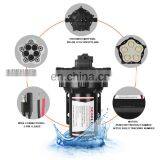 SEAFLO 12V 15LPM 60 PSI Solar Powered Water Pump For Thailand thumbnail-6