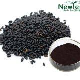 Black rice extract