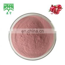 natural pure water souble pomegranate juice extract powder