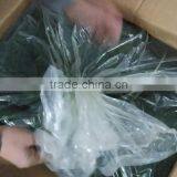 Wholesale Ulva Seaweed thumbnail-5