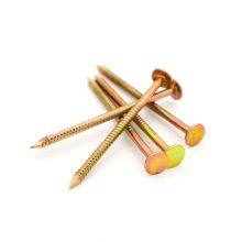 Hot-Dip Galvanized Ring Shank Nails for Exterior Construction thumbnail-4