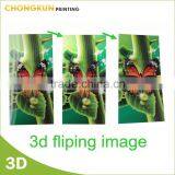 3 Images Changing 3D Flip Pictures