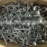 Competitive Price Umbrella Head Roofing Nails Directly Manufacturer thumbnail-3