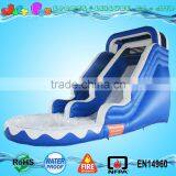 High Quality Water Slide With Pool for Sale,kids and Adults Inflatables Water Slide