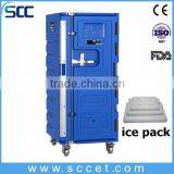 Rotomolded Plastic Insulated Cabinet for Frozen Food Storage and Transport