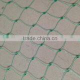 Extruded Agricultural Anti Bird Net thumbnail-2