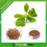 ISO Certificated Manufacturer High Quality Fenugreek Seed Extract