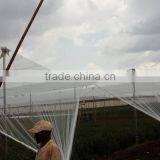 Anti Hail Net for Apple Tree thumbnail-2