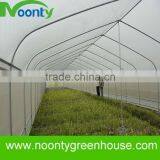 Hydroponics Grow Tent thumbnail-1