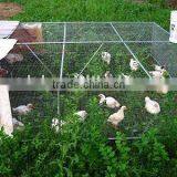 Rabbit Hexagonal Cages