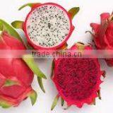 100% Natural Fresh Dragon Fruit from Vietnam