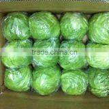 Zhangbei Lettuce thumbnail-6