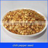 Chilli Pepper Seed