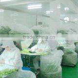 Xinghua Hongsheng Foods Co., Ltd. company overview - view 3 thumbnail