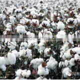 High Purity Mepiquat Chloride TC 98%,Technical Product thumbnail-6