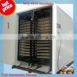 Automatic Poultry Farming Equipment (9856 Eggs)