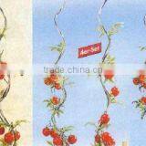 Powder Coated Tomato Stake for Sale(professional Manufacturer) thumbnail-1