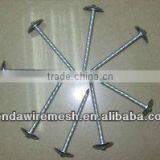 Roofing Nails thumbnail-1