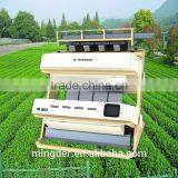 Popular Green Tea Color Sorter Machine thumbnail-6