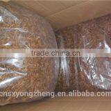 Fish Food 2.5--2.8 Dried Mealworms; Tenebrio Molitors thumbnail-3