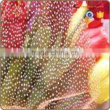 With White Dot Multicolor Organza Fabric for Flower Wrapping thumbnail-1