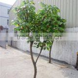 Decoration Artificial Potted Fruit Tree Bonsai Manufacture LGH15-06 thumbnail-3