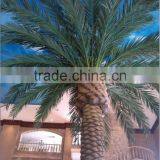 Brand Name Artificial Date Palm Tree Fiberglass Tree Sale Indoor Decoration thumbnail-2