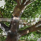 Artificial Large Outdoor Money Tree Green Large Artificial Decorative Rich Tree Money Plant Tree thumbnail-5