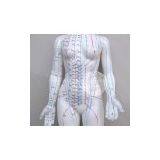 48 cm PVC Acupuncture Model Female Acupuncture Model for Full Body Male for Acupuncture Point Study thumbnail-2