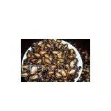 Spiced Black Watermelon Seeds thumbnail-1
