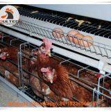 Chicken Farm Automatic Egg Hen Chicken Cage & Layer Cage & Hen Cage With 90-200 Birds in Chicken Shed Sale in Libya thumbnail-2