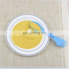 Heavyweight White With Gold Rim Wedding Party Plastic Plates thumbnail-3