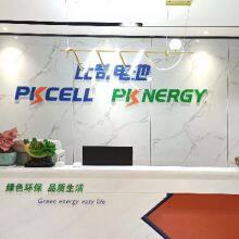 Shenzhen PKCELL Battery Co.,Ltd company overview - view 1 thumbnail