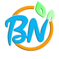 Hebei Bain Toys Co., Ltd