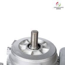 CE Certification of YL Series Single-phase Motor thumbnail-5