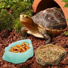 Shrimp, Fish Food, Tropical Feed