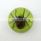 2016 New Business Particularly Paperweight With Real Insect Spide thumbnail-1