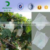 Apple Pear Mango Guava Grape Fruit Protection Waterproof Custom Made Paper Bags thumbnail-3