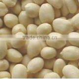 Hot Sale Wet Broad Bean Peeling Machines For Sale, High Efficiency Small Garlic Peeling Machine thumbnail-5