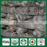 Mushroom Spores,Shiitake Mushroom Substrate,Reishi Mushroom thumbnail-4