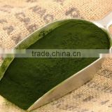 Organic cell wall broken chlorella and Chlorella vulgaris powder